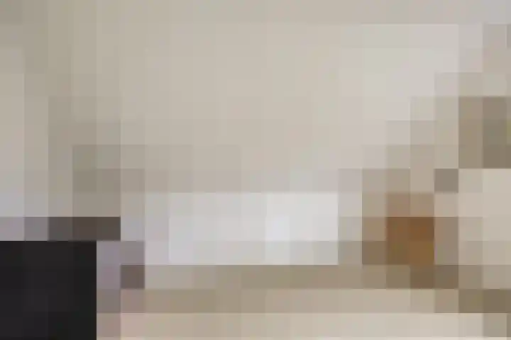 Pastorielaan 10 Epe thumbnail 29