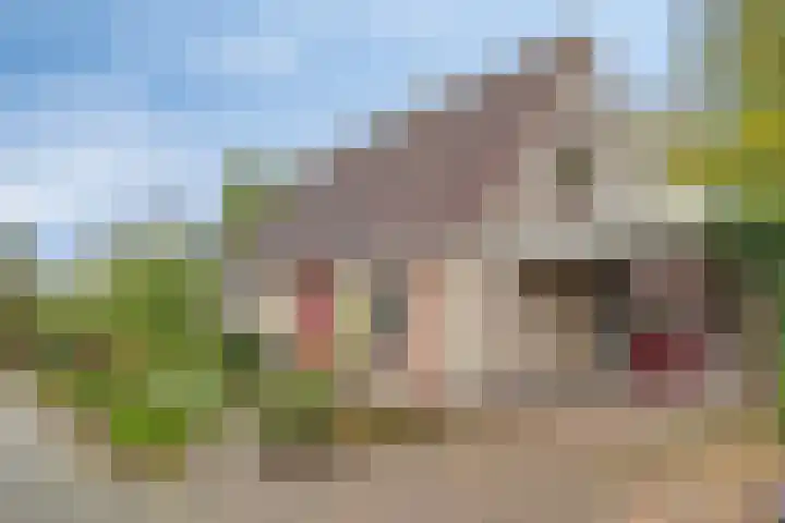 Pastorielaan 10 Epe thumbnail 35