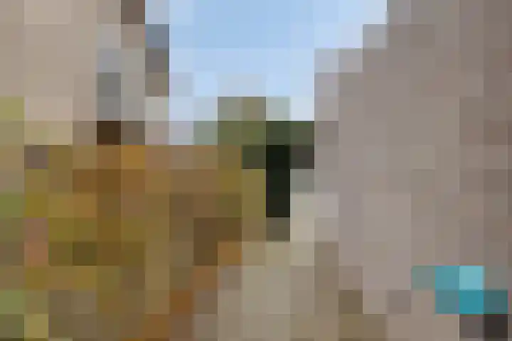Pastorielaan 10 Epe thumbnail 36