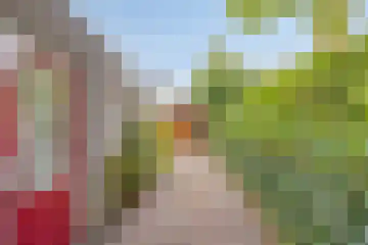 Pastorielaan 10 Epe thumbnail 37