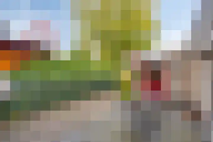 Pastorielaan 10 Epe thumbnail 38