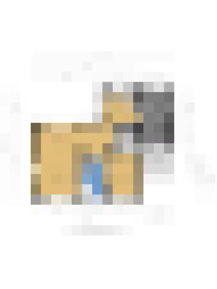 Pastorielaan 10 Epe thumbnail 43