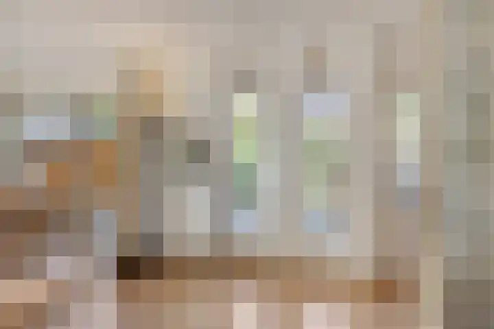 Pastorielaan 10 Epe thumbnail 6