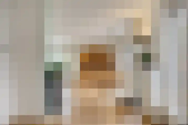 Pastorielaan 10 Epe thumbnail 7
