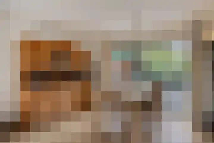 Pastorielaan 10 Epe thumbnail 8