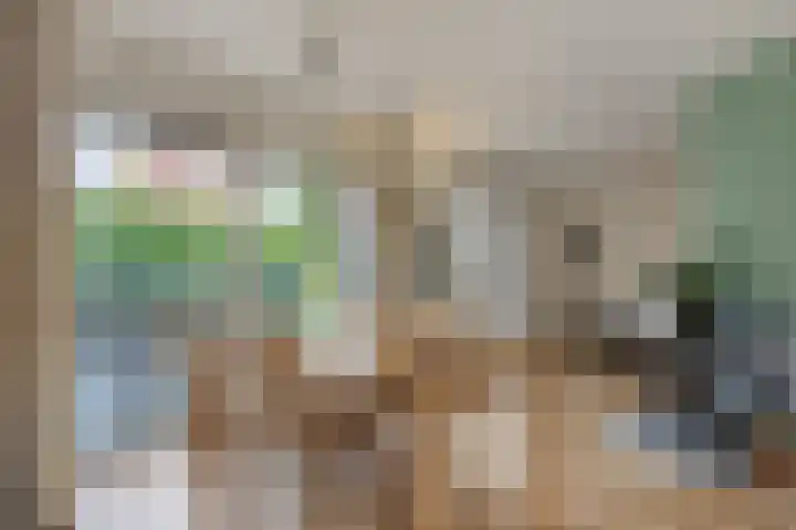 Pastorielaan 10 Epe thumbnail 9