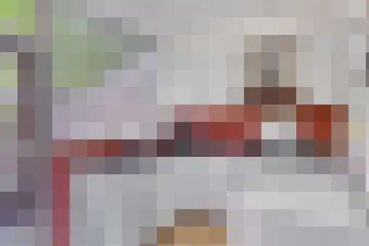 Pastorielaan 15 Veldhoven thumbnail 16