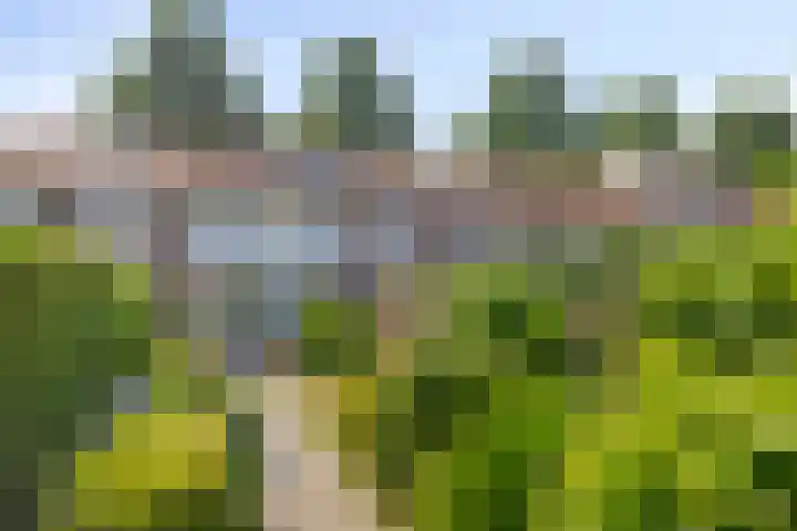 Pastorielaan 15 Veldhoven thumbnail 34