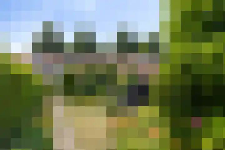 Pastorielaan 15 Veldhoven thumbnail 6