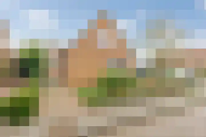 Pastorielaan 19 Buurmalsen thumbnail 20