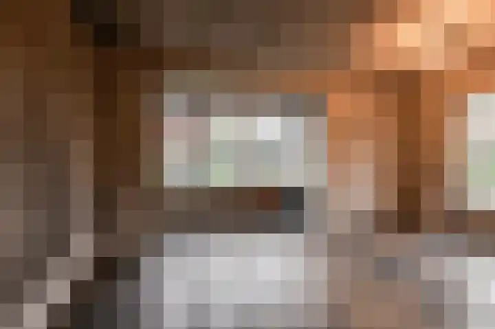 Pastorielaan 19 Buurmalsen thumbnail 6