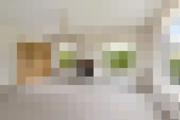 Pastorielaan 19 Joure thumbnail 11