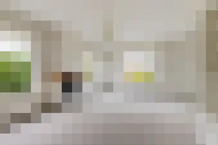 Pastorielaan 19 Joure thumbnail 13