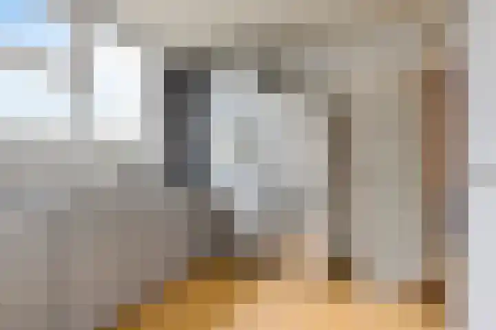 Pastorielaan 19 Joure thumbnail 17