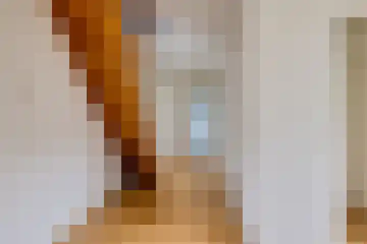 Pastorielaan 19 Joure thumbnail 18