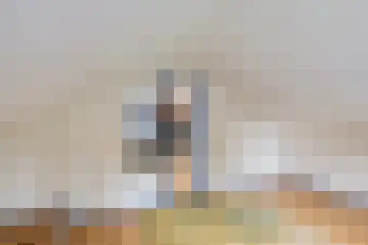 Pastorielaan 19 Joure thumbnail 32