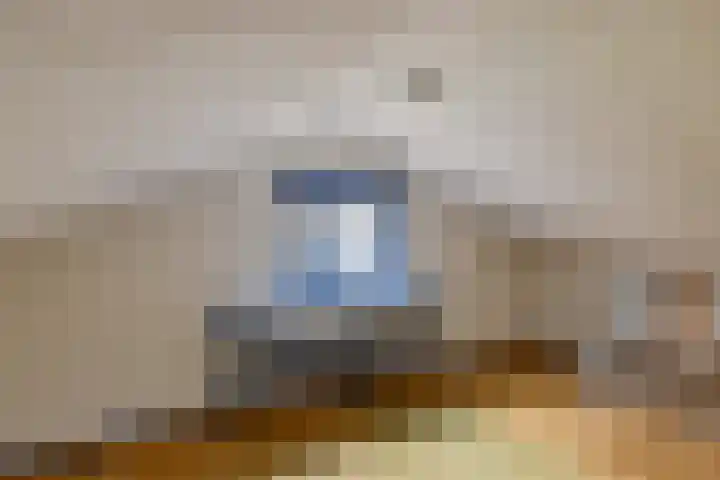 Pastorielaan 19 Joure thumbnail 33