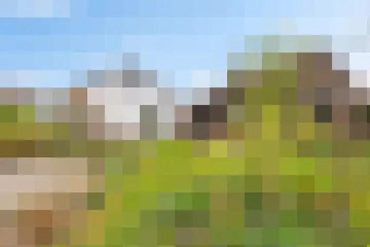 Pastorielaan 19 Joure thumbnail 35