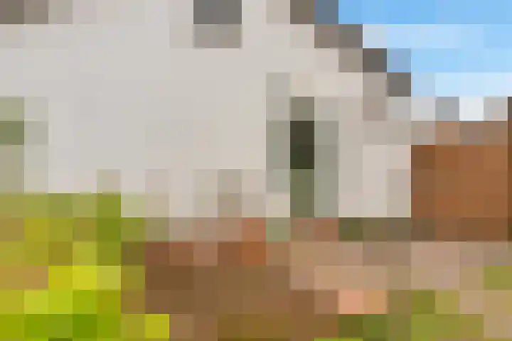 Pastorielaan 19 Joure thumbnail 37
