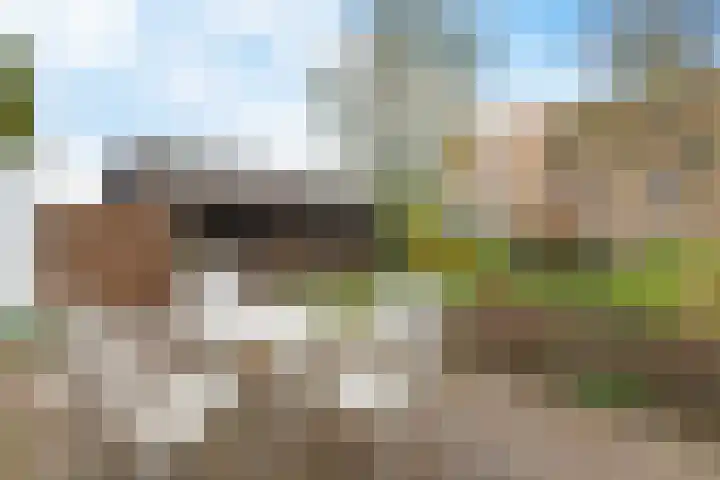 Pastorielaan 19 Joure thumbnail 38