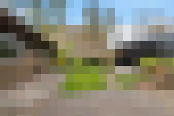 Pastorielaan 19 Joure thumbnail 39