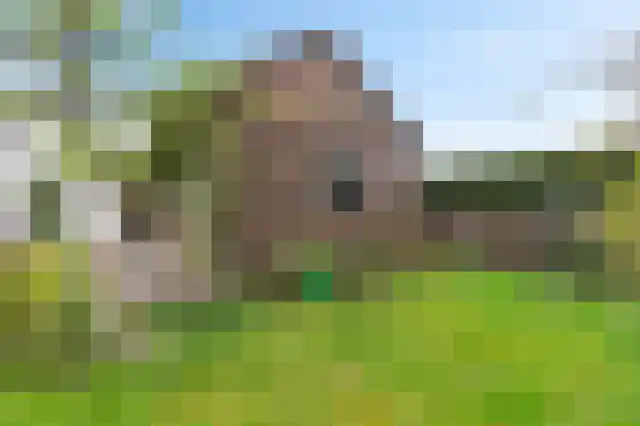 Pastorielaan 19 Joure thumbnail 41