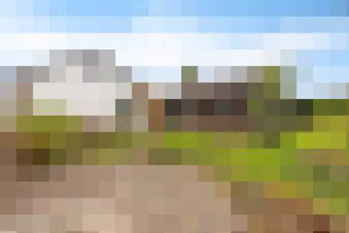 Pastorielaan 19 Joure thumbnail 42