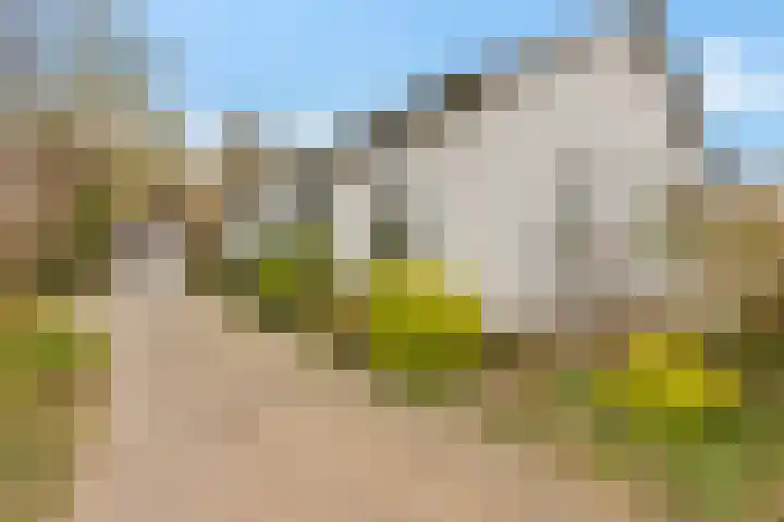 Pastorielaan 19 Joure thumbnail 44