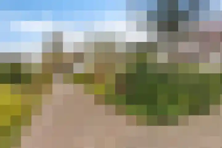 Pastorielaan 19 Joure thumbnail 47