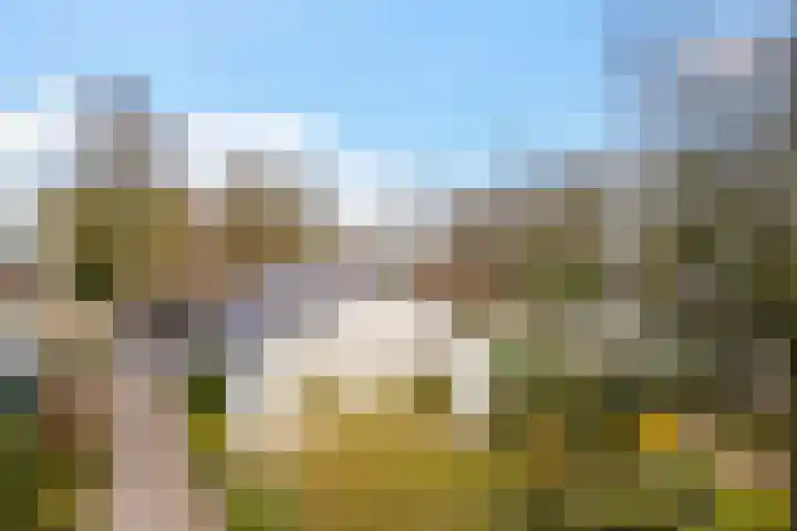 Pastorielaan 19 Joure thumbnail 48