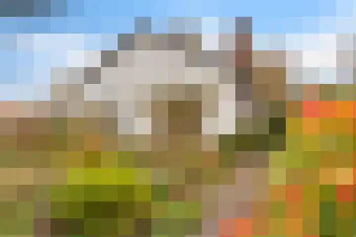 Pastorielaan 19 Joure thumbnail 6