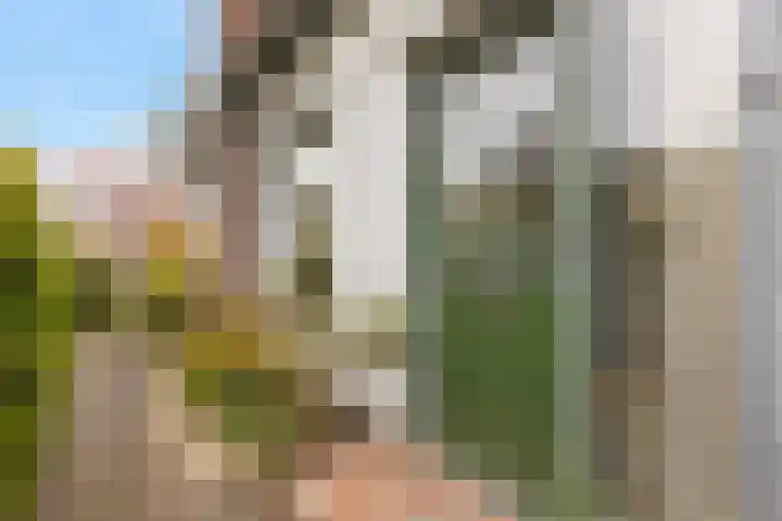 Pastorielaan 19 Joure thumbnail 8
