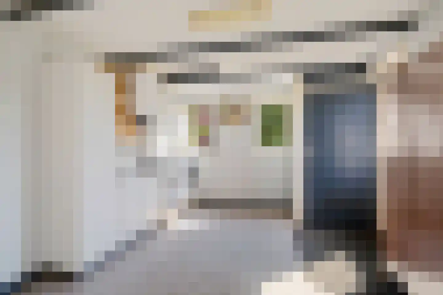 Pastorielaan 20 Zuidwolde thumbnail 22