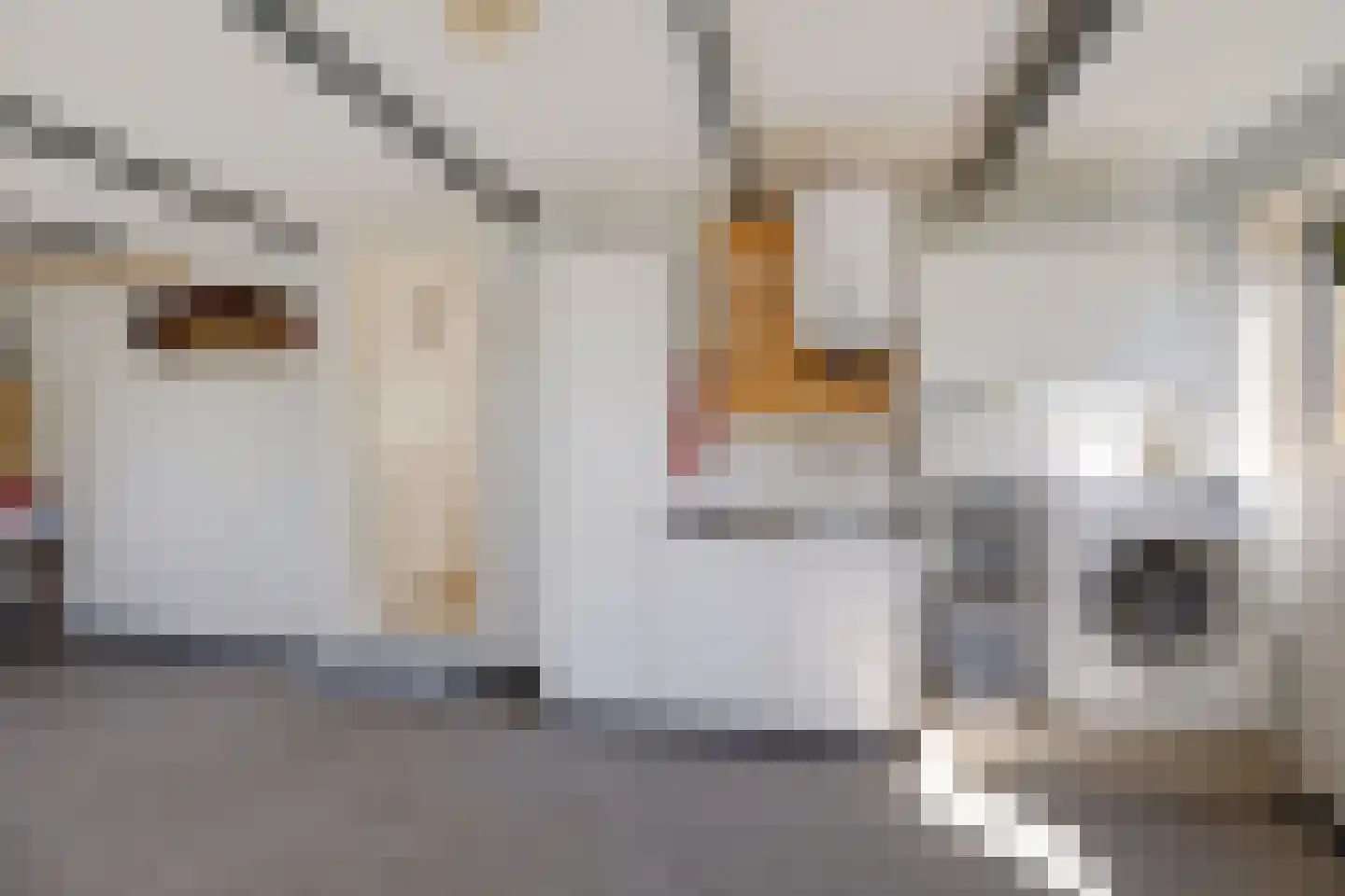 Pastorielaan 20 Zuidwolde thumbnail 23