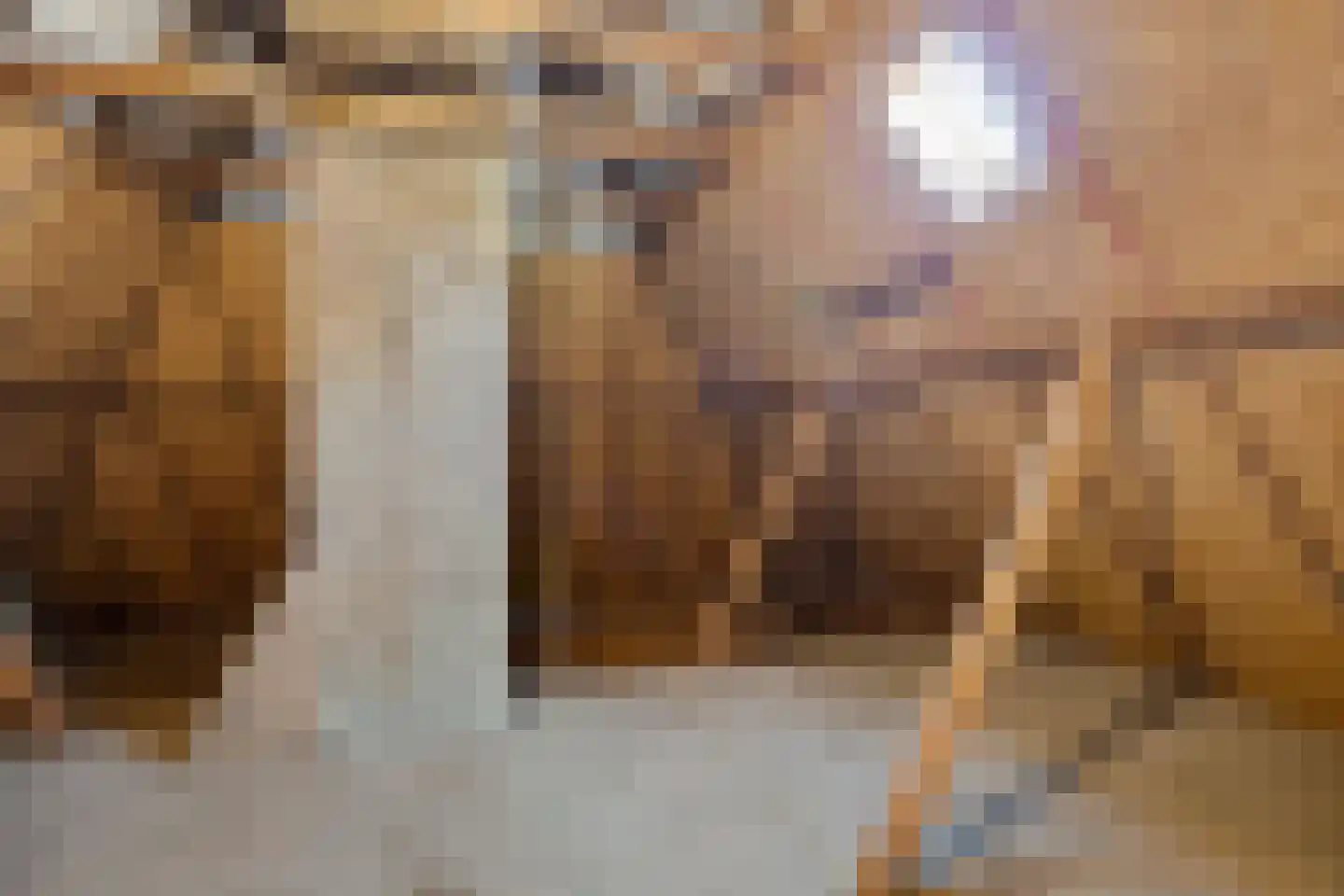 Pastorielaan 20 Zuidwolde thumbnail 33