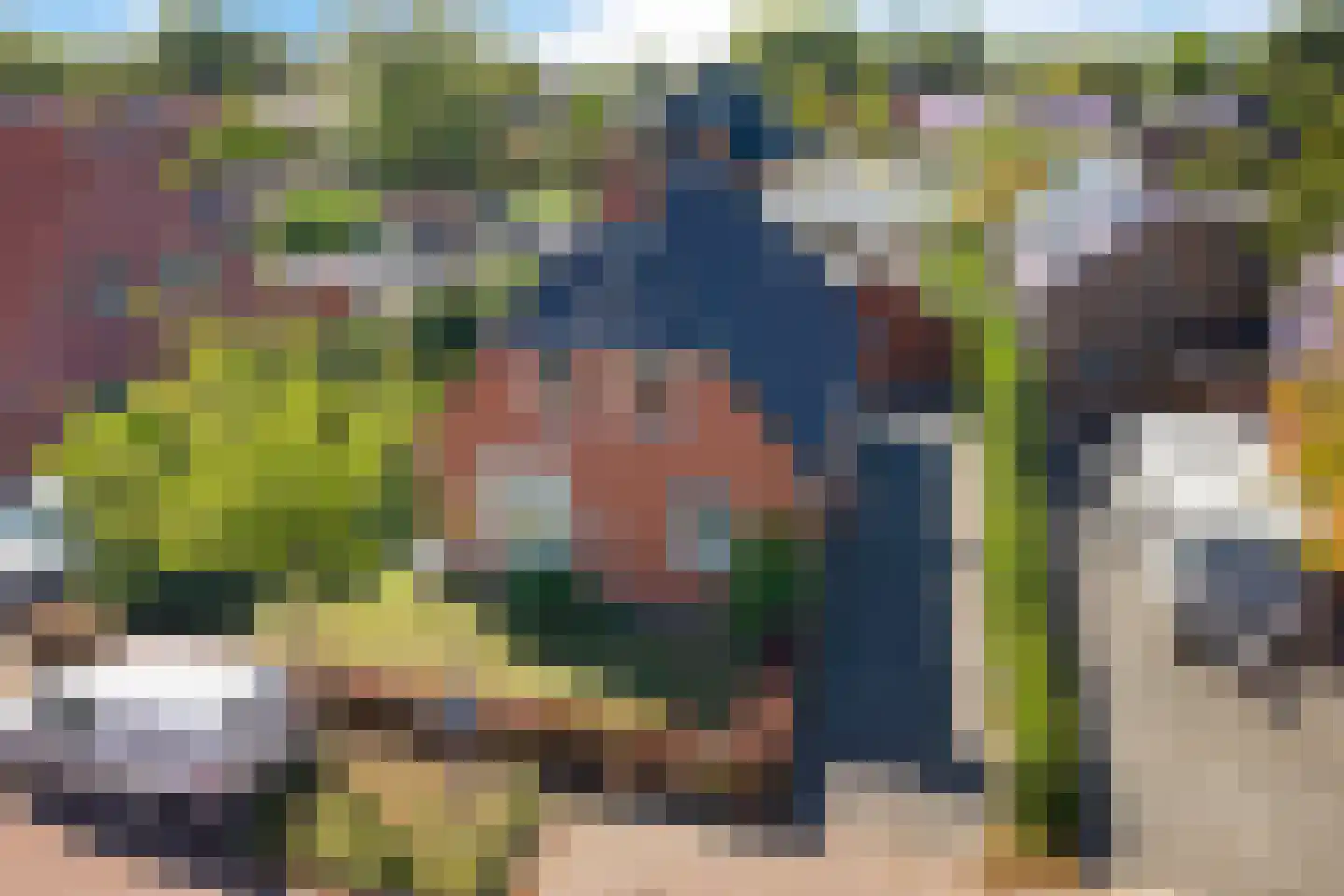 Pastorielaan 20 Zuidwolde thumbnail 4