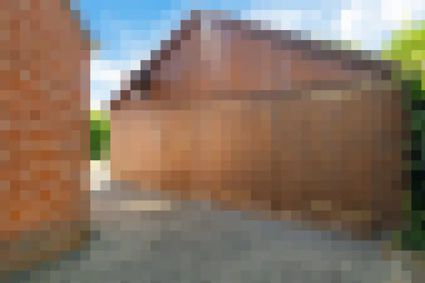 Pastorielaan 20 Zuidwolde thumbnail 43