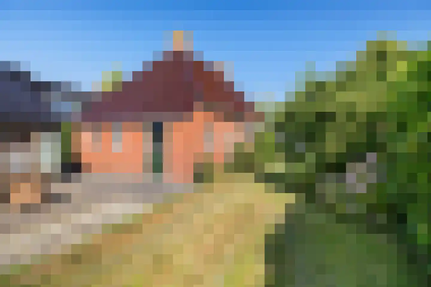 Pastorielaan 20 Zuidwolde thumbnail 44
