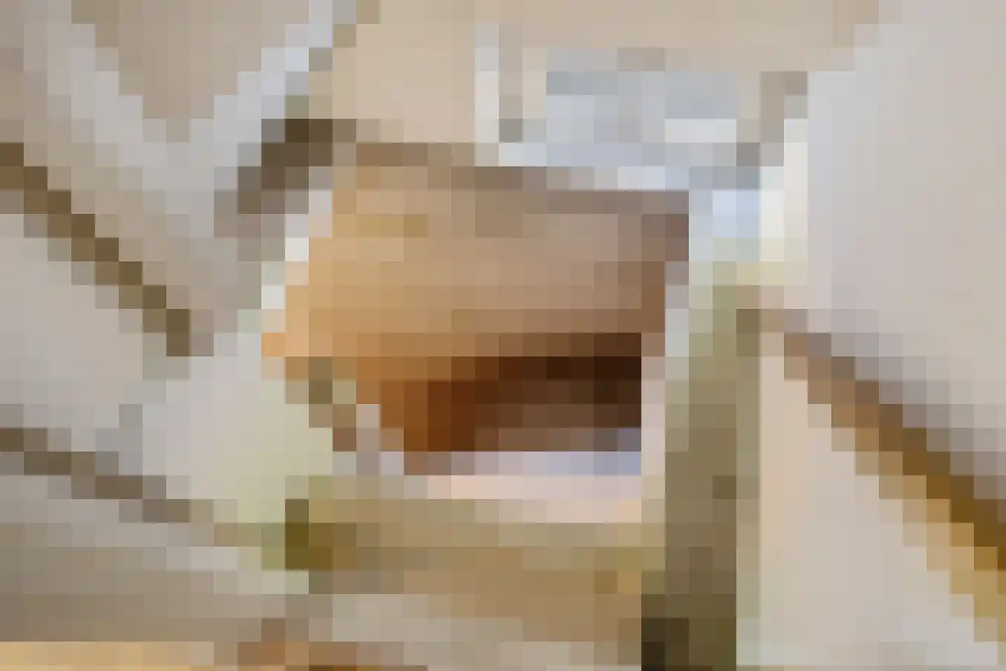 Pastorielaan 20 Zuidwolde thumbnail 48