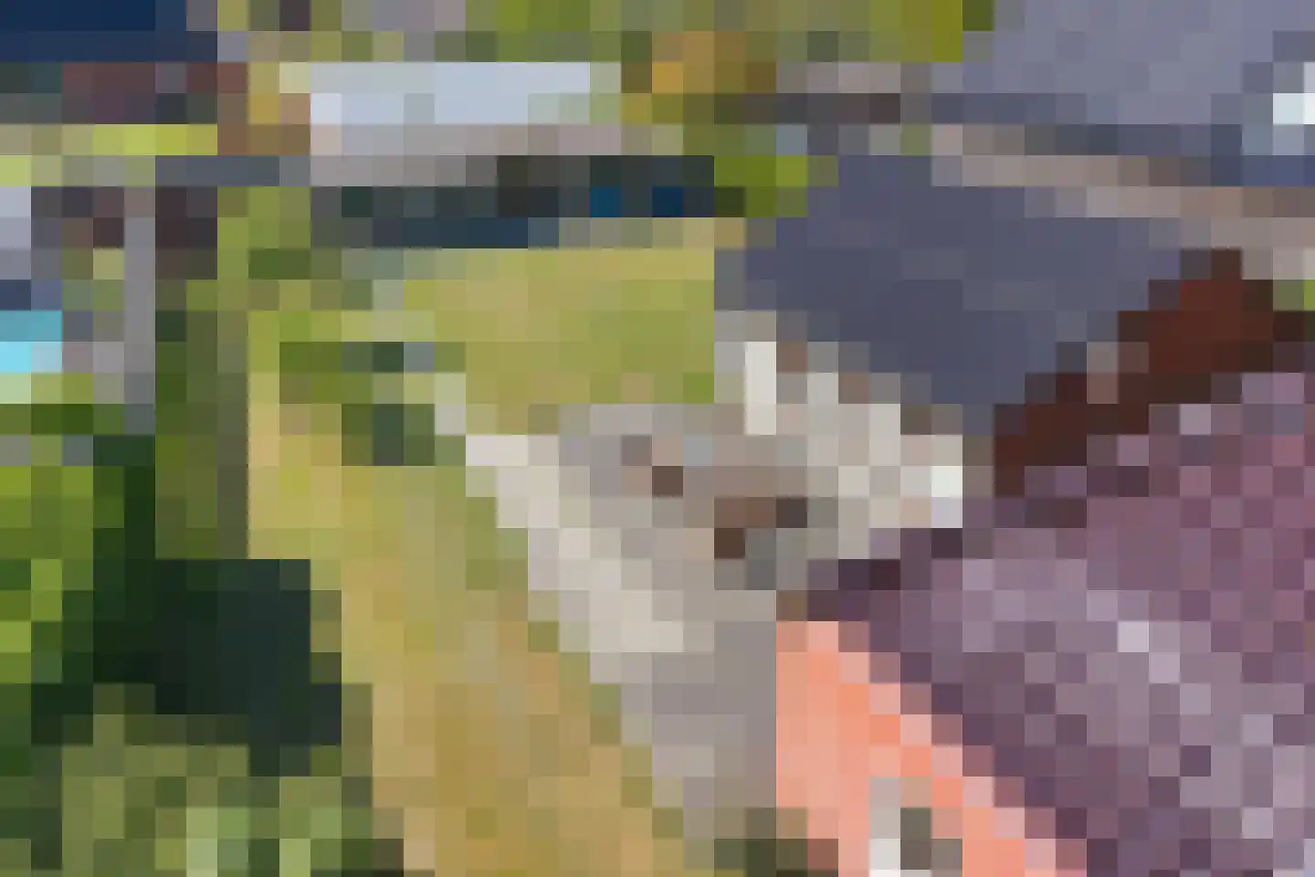 Pastorielaan 20 Zuidwolde thumbnail 6