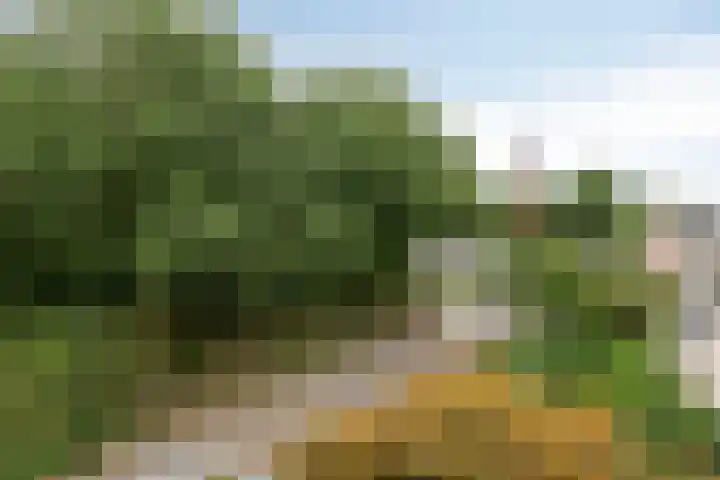 Pastorielaan 24 Hoogland thumbnail 29