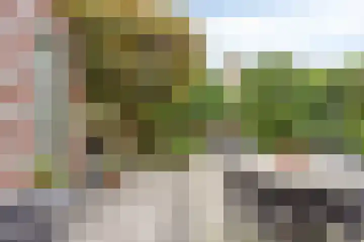 Pastorielaan 24 Hoogland thumbnail 30