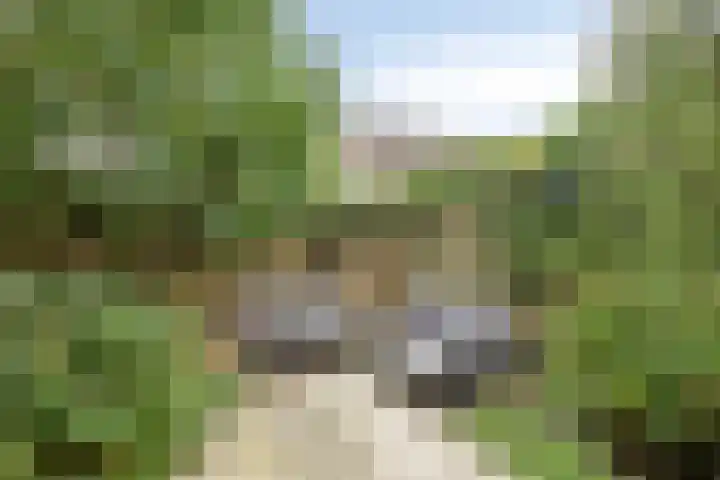 Pastorielaan 24 Hoogland thumbnail 34