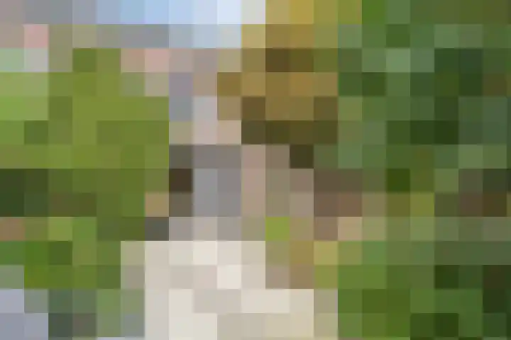 Pastorielaan 24 Hoogland thumbnail 35