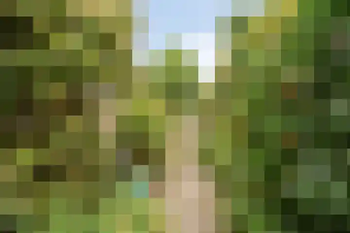 Pastorielaan 24 Hoogland thumbnail 36