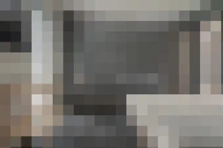 Pastorielaan 24 Joure thumbnail 18