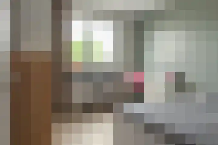 Pastorielaan 24 Joure thumbnail 37