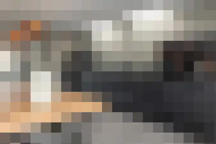 Pastorielaan 24 Joure thumbnail 4