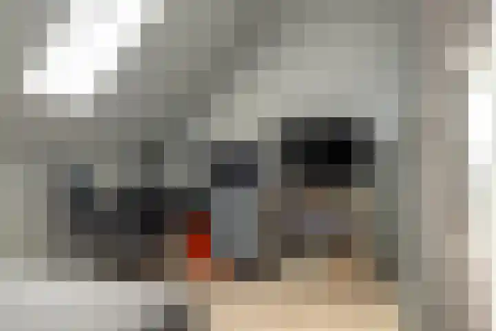 Pastorielaan 24 Joure thumbnail 44