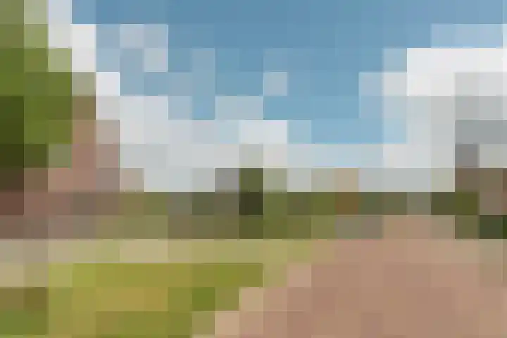 Pastorielaan 24 Joure thumbnail 47